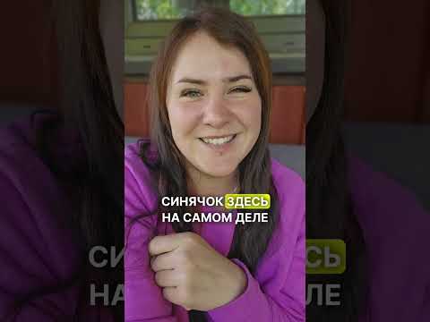Видео: Лидерство. Как понять что лошадь не уважает