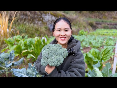 Видео: Кусочек брокколи, кусочек рыбы, вкусный фьюжн, наслаждение на кончике языка.