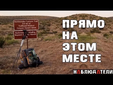 Видео: А что бы Вы сделали?