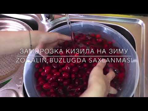 Видео: Заморозка КИЗИЛА на зиму••zogalin buzlugda saxlanmasi••kizilcik buzdolabinda••