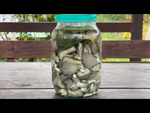 Видео: Смачні замариновані гриби за 24 години вдома!