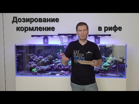 Видео: Дозирование и кормление в рифе