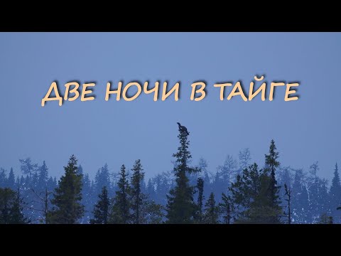 Видео: ДВЕ НОЧИ В ТАЙГЕ. ПРОБИВАЮСЬ НА ОЗЕРО. РЫБАЛКА.