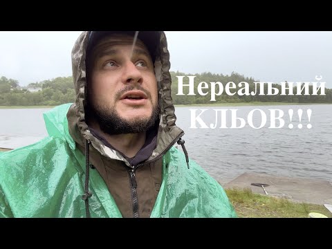 Видео: КЛЬОВ ОГОНЬ!!!  Суперове місце на ФІДЕР  на ДИКОМУ ОЗЕРІ!!!
