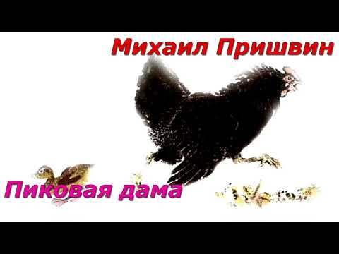 Видео: Пиковая дама. М. Пришвин.