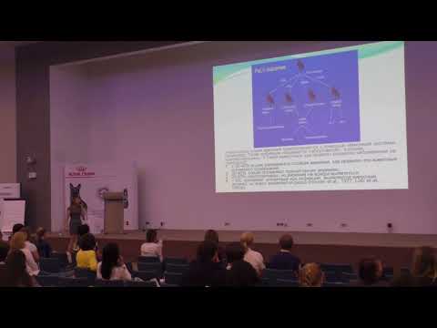 Видео: Вирусная лейкемия кошек (часть 2). Лекция Надежды Рахманиной