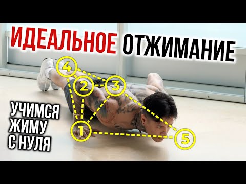 Видео: ИДЕАЛЬНОЕ ОТЖИМАНИЕ | учимся жиму С НУЛЯ