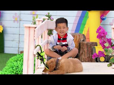 Видео: Баяржавхлан нохойдоо үлгэр ярьж өгсөн нь 😂🐶🐕
