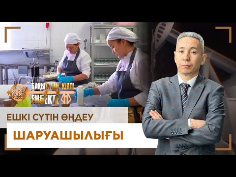 Видео: Ешкі сүтін өңдеу шаруашылығы. «Бақыттың кілті еңбекте!»