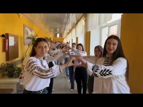 Видео: ДЕНЬ ВИШИВАНКИ 2024