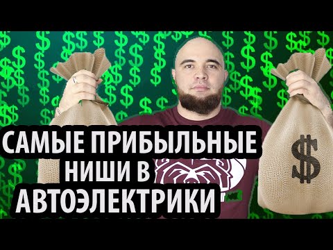 Видео: НИШИ В АВТОЭЛЕКТРИКИ