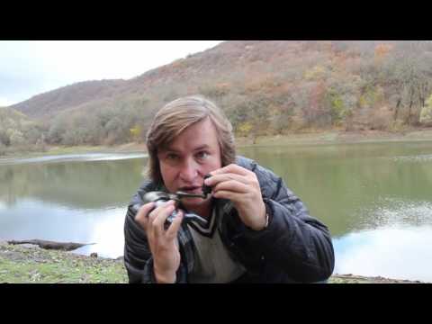 Видео: Опыт использования Salmo Grand Confidence 30fd - за и против.