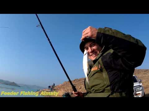 Видео: Рыбалка на фидер. Нас победила рыба) Капчагай, скалы 08 12 2019г