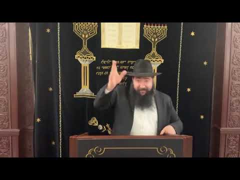 Видео: раввин Фишел Чичельницкий, Недельная глава Лех Леха 5786 г