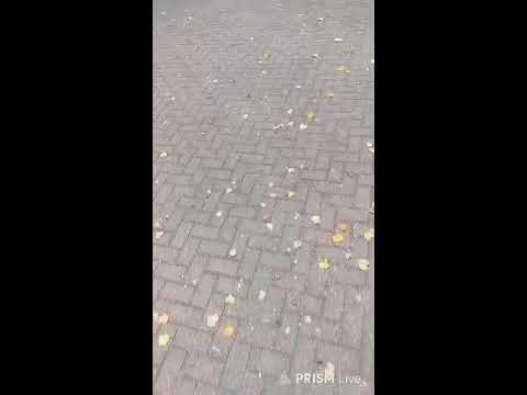 Видео: Певец замерзает на улице