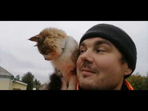 Видео: Проект "Ягода"