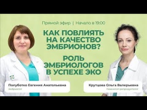 Видео: Как повлиять на качество эмбрионов?