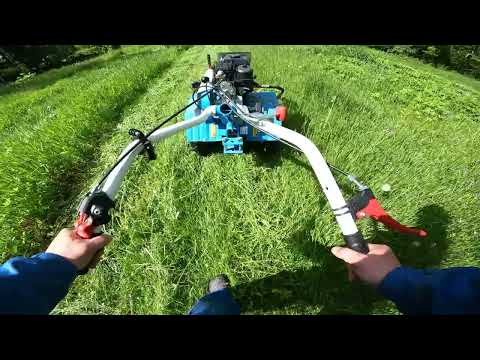 Видео: Примерка стропил.Косьба дилетанта. Козий публичный дом.