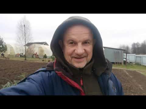 Видео: Как Избавиться от Сорняков!  ЧЁРНАЯ Пятница в POMIDOM.RU 