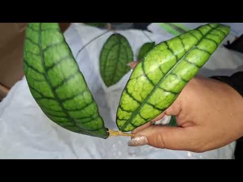 Видео: Новиночки !!!!Хотелочки!!!!🥰6.98.2025