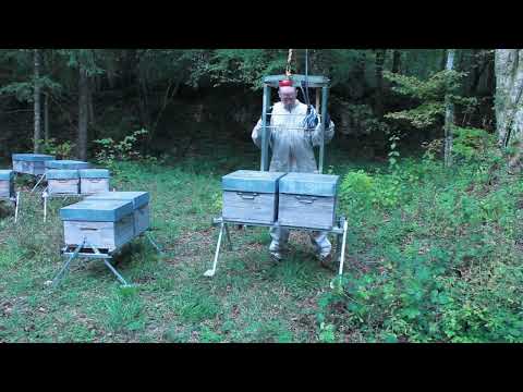 Видео: Металлические подставки для ульев? Только ТАКИЕ!
