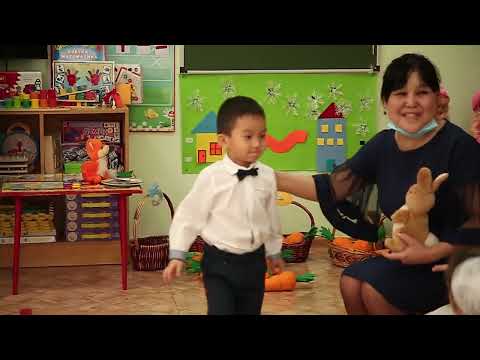 Видео: Таным  Математика негіздері ересек топ