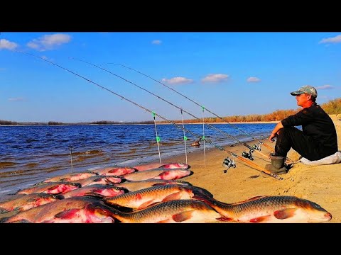 Видео: ДОБРА РИБАЛКА НА МАКУШАТНИКИ І ФІДЕР З НОЧІВЛЕЮ