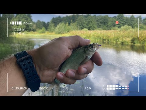 Видео: It's Mormo time! Деревенский мормышинг