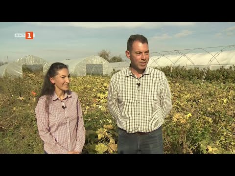 Видео: Среща със семейство агрономи, които не се плашат от експерименти - "Бразди", 15.11.2025
