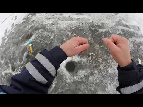 Видео: Ловля плотвы зимой на течении