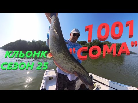 Видео: 1001 СОМ-а на КЛЬОНК ! СЕЗОН 25  Река ДУНАВ ! CATFISHING : WITH CLONK ! Danube River!