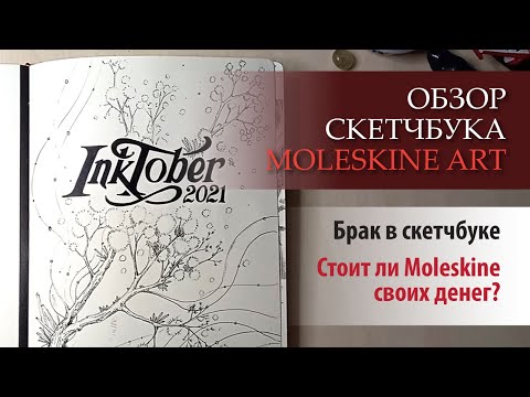 Видео: Обзор законченного скетчбука Moleskine Art. Мой Inktober 2021 года.