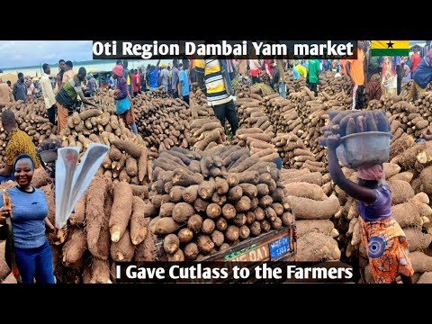 Видео: Сельский рынок в африканской деревне в Африке, Гана, Дамбай + Раздача Cutlass #africa#rural#ghana...