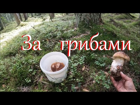 Видео: Планы, проекты и ничего не закончено. Разбираю потолок.