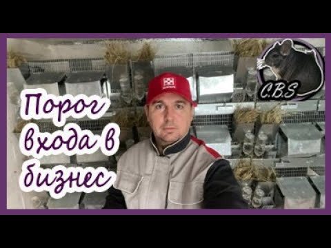 Видео: СКОЛЬКО ДЕНЕГ ЧТОБЫ НАЧАТЬ | ШИНШИЛЛОВАЯ ФЕРМА | ФЕРМА ПЛЕМЕННЫХ ШИНШИЛЛ