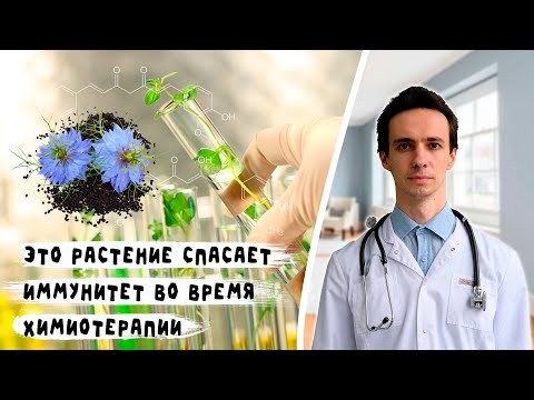 Видео: Падает иммунитет во время химиотерапии (нейтрофилы, лейкоциты) - поможет...