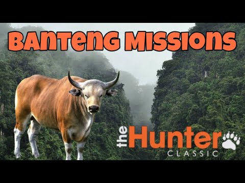 Видео: The hunter classic how to pass banteng missions! как пройти миссий бантенга!