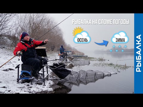 Видео: Слом погоды 2: Из осени - в зиму. Рыбалка на Дону в Липецкой области
