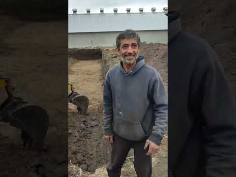Видео: Будівництво свинарника в Чернігівській області | часть втора 