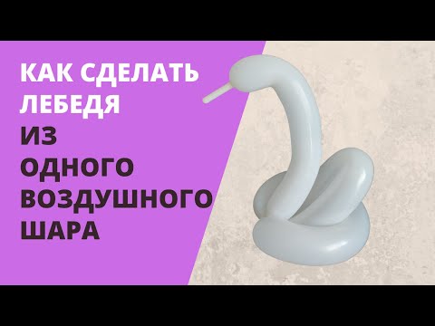 Видео: Как сделать лебедя из шарика