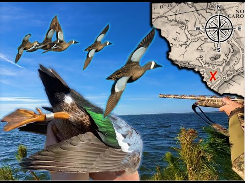 Видео: СОКРОВИЩА ПРИЛИВА | Охота на уток с помощью ножниц в заливе Памлико