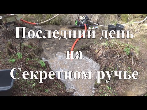 Видео: Последнее золото ручья