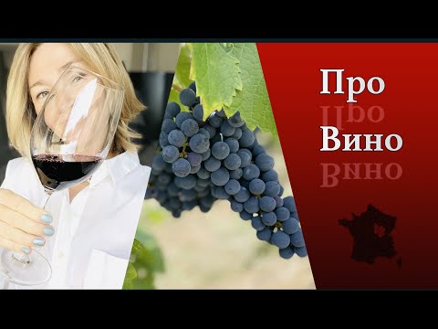 Видео: Французское Вино l Бургундия или Бордо Разница l Дегустация Как l Белое Красноe l Эльзас