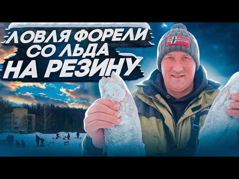 Видео: Ловля форели со льда на резину 2023 Безлимит Парус Север.