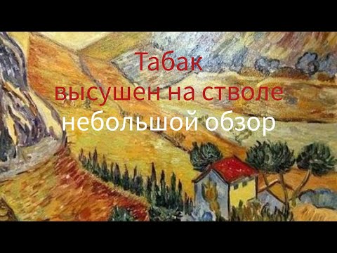 Видео: 17 жовтня 2025 р.