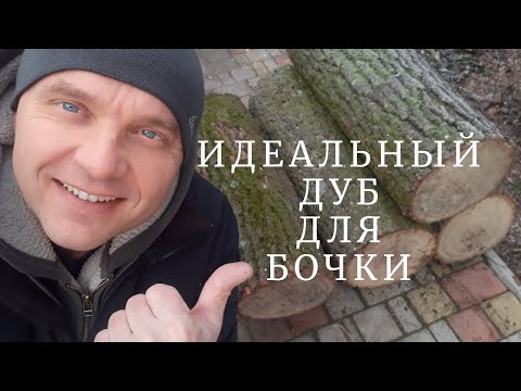 Видео: Идеальный дуб для бочки. От бревна до клепки. Как сделать бочку