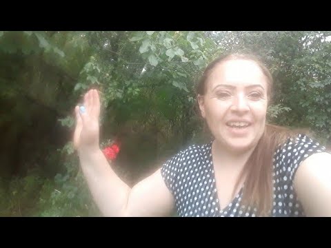 Видео: ЦУКАТЫ  ИЗ  АРБУЗНЫХ  КОРОК  САМЫЙ  ПРОСТОЙ РЕЦЕПТ