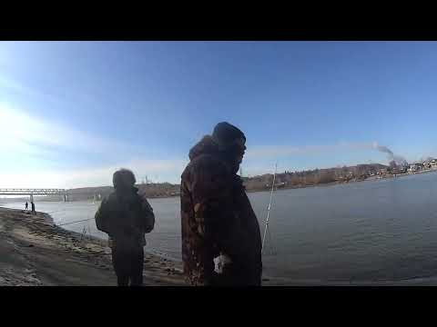 Видео: За ж/д мостом. р.Обь р-н г.Барнаула.