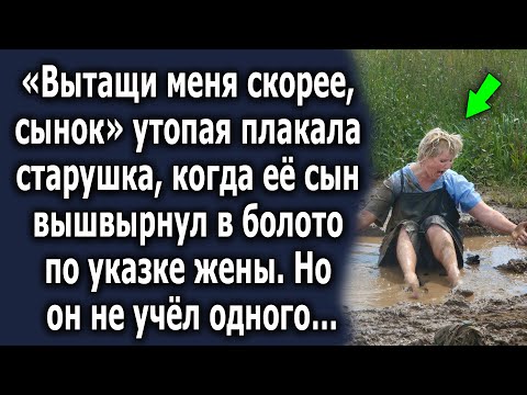 Видео: По указке супруги, мужчина решил совершить этот поступок, но он не учел одного…