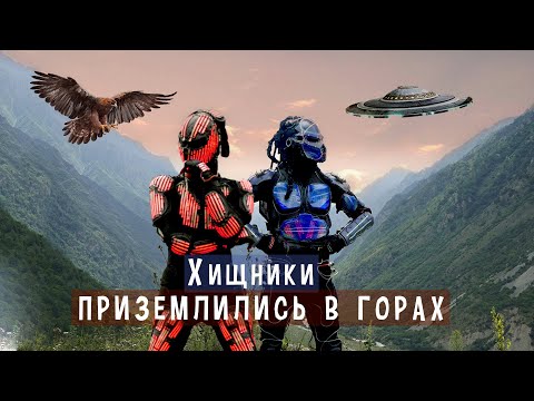 Видео: Хищники приземлились в горах (Кабардино-Балкария)